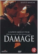 Cover: Damage