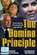 Cover: The Domino Principle